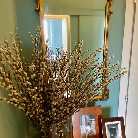 Correggio Apartman